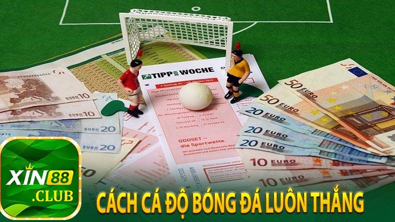 Cách Cá Độ Bóng Đá Luôn Thắng