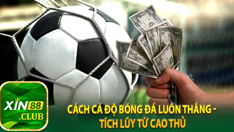 Cách cá độ bóng đá luôn thắng - Tích lũy từ cao thủ